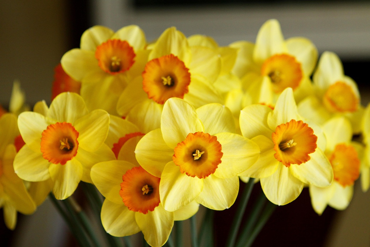 Lorem Ipsum Generated Blog 3
